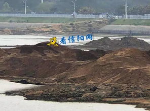 河南信阳浉河河沙被 金科公司 垄断 拉走出售 牟取暴利