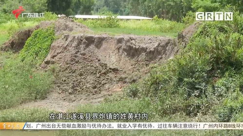 湛江遂溪 偷挖河沙影响河道 违法人员已被执法部门传唤